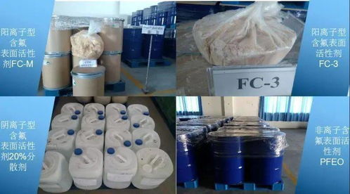 創(chuàng)歷史最好成績 我校六項科研成果喜獲2019年度福建省科學技術(shù)獎